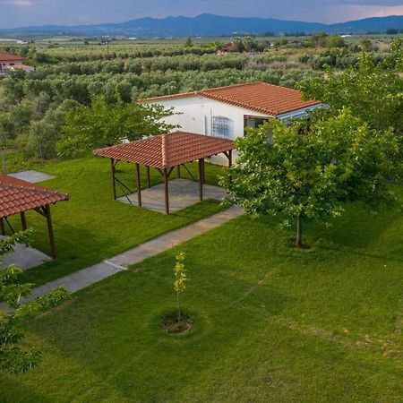 Mama'S Twin Houses Agios Mamas  Exterior photo