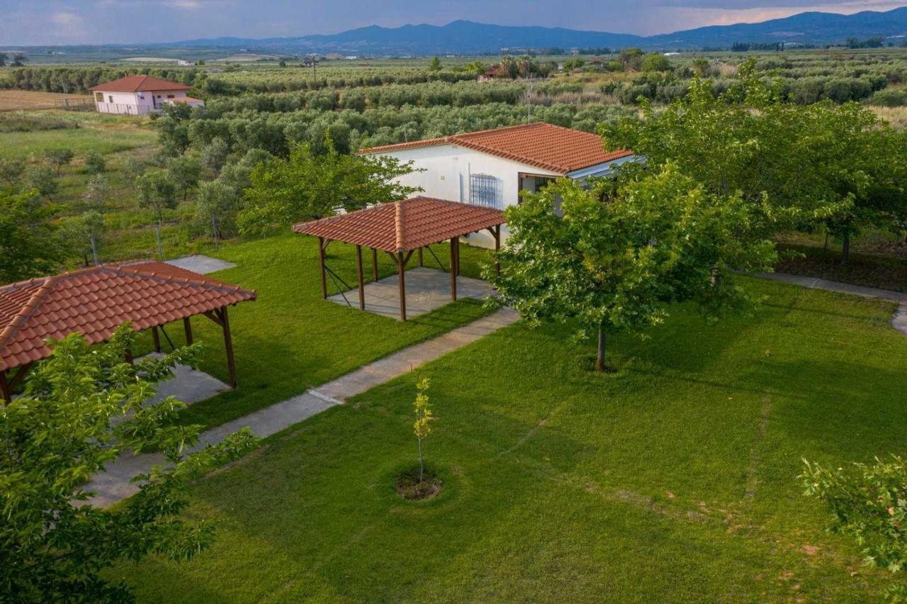 Mama'S Twin Houses Agios Mamas  Exterior photo